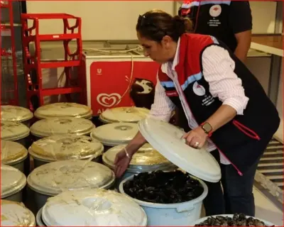 Bolu'da 650 Kilo Kaçak ve Bozulmuş Midye Ele Geçirildi