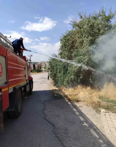 Van Özalp'te Bahçe Yangını Korkuttu: İtfaiye Ekipleri Hızla Söndürdü