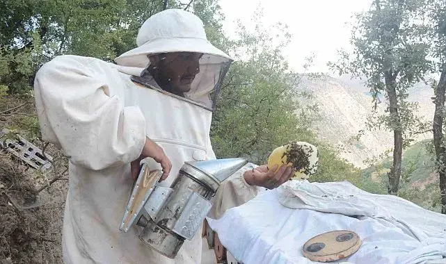 Bitlis'in ödüllü Hizan karakovan balı, NATO Zirvesi menüsünde