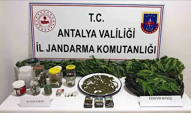 Manavgat'ta 2 kilo kubar esrar ve 130 kök kenevir ele geçirildi