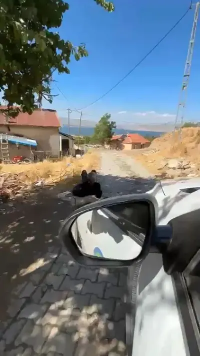 Elazığ'da Şoke Eden Görüntü: Yaşlı Adam Eşi Tarafından Ağaca Zincirlendi