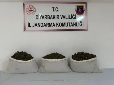 Diyarbakır'da Büyük Uyuşturucu Operasyonu: 253 Bin Kök Kenevir Ele Geçirildi