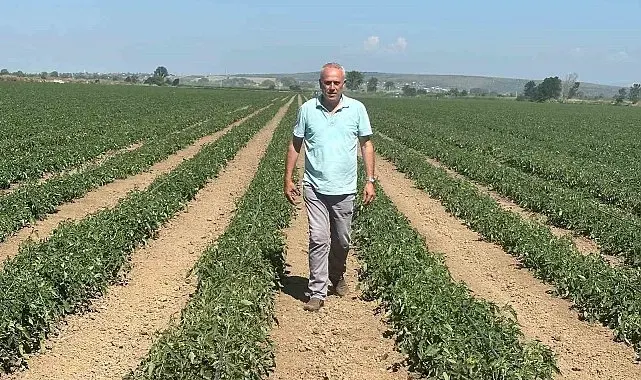 Sözleşme yaptığı firma ürünü almayınca 20 milyon lira zarar etti