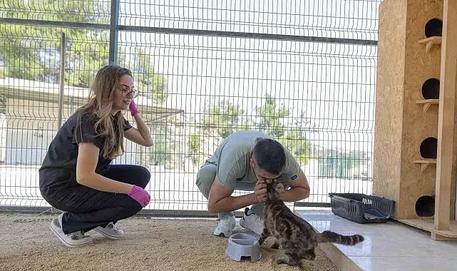 Mersin'de yaralı hayvanlar yeniden yaşama tutunuyor