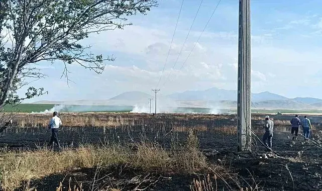 Karapınar'da buğday ekili tarlada yangın paniği