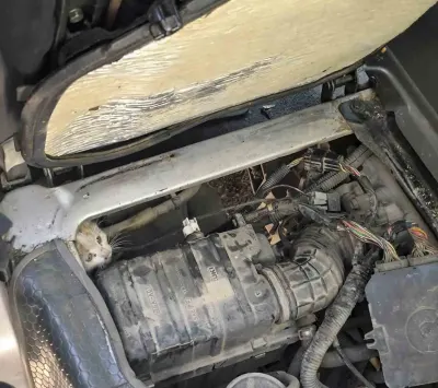 Erzincan'da Araç Motorunda Mahsur Kalan Yavru Kedi İtfaiye Tarafından Kurtarıldı