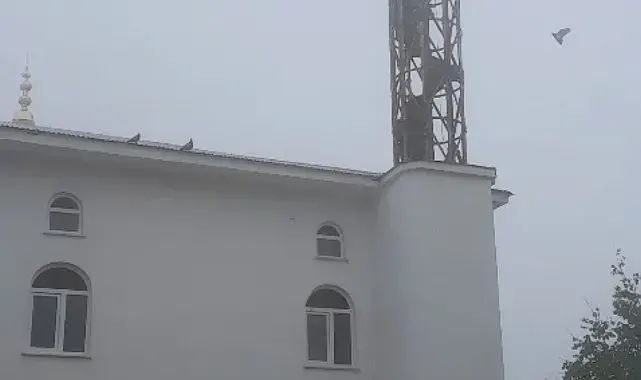 Güvercin yuvası minare yıkımını erteledi