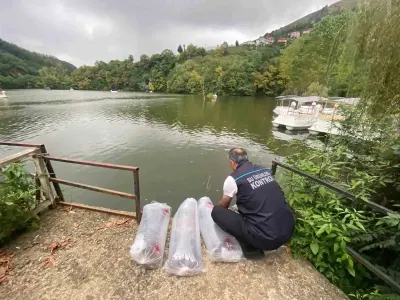 Trabzon'un Popüler Sera Gölü'ne 40 Bin Yavru Sazan Bırakıldı