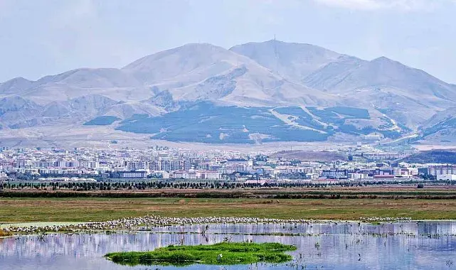 Amerika'nın Erzurum mesaisi: Yüzyıllık belge gün yüzüne çıktı