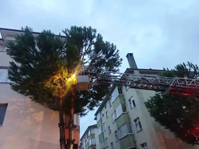 Bartın'da Sağanak Yağıştan Kaçan Kedi Ağaçta Mahsur Kaldı