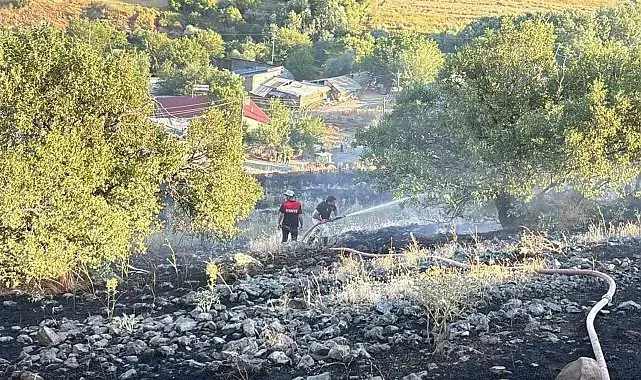 Elazığ'da arazi yangını