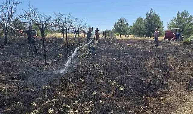 İzmir'deki orman yangınlarında iki gözaltı