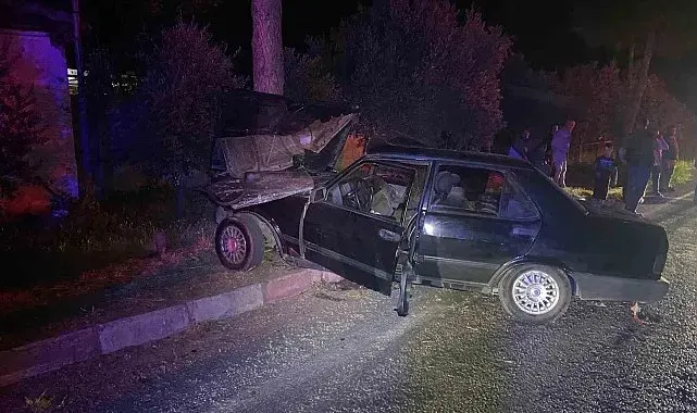 Köpeğe çarpmamak için ağaca çarpan sürücü hayatını kaybettti