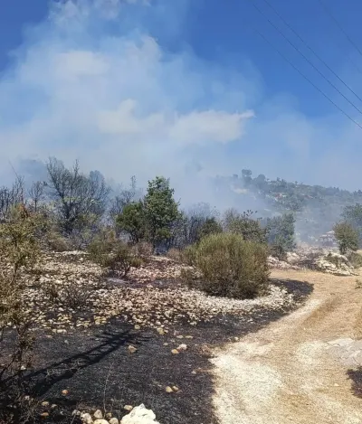 Mersin Silifke'de Çıkan Orman Yangını Evlere Sıçramadan Kontrol Altına Alındı