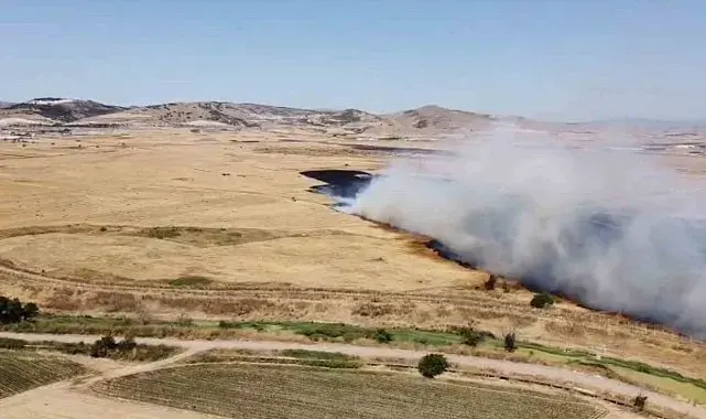 Arazi yangını etrafı küle çevirdi