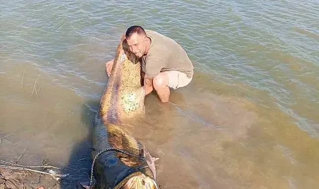Tekirdağ'da 157 kiloluk yayın balığı yakalandı