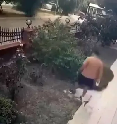 İzmir'de Yavrulu Kediye Tekme Atan Saldırgan Yakalandı