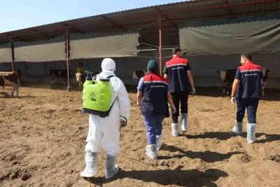 Iğdır'da Hayvan Sağlığı İçin Aşılama ve Dezenfeksiyon Seferberliği Başlatıldı