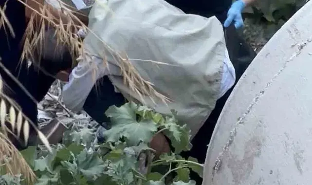 20 metrelik uçurumdan düştü, yaralıyı sırtında taşıyan itfaiyeci yürekleri ısıttı