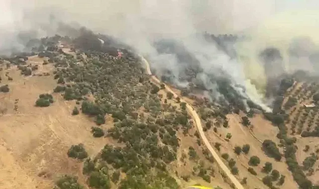 Bozdoğan'da söndürme çalışmaları sürüyor, hava gücü artırıldı