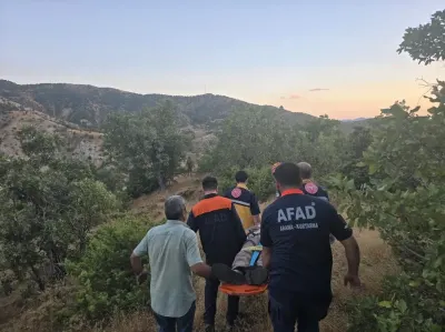 Bingöl Genç'te Kaybolan Vatandaş Ormanlık Alanda Sağ Olarak Bulundu
