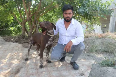 Adana'da Köpeğe Sopalı Şiddet Kamerada: Sahibinden Şikayet