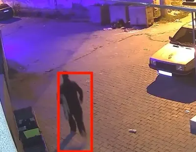 Edirne Keşan'da Evin Önünden Halı Çalan Şüpheli Güvenlik Kamerasına Yakalandı