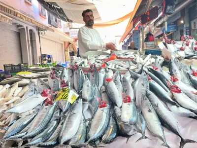 İzmir'de palamut bolluğu: 100 liradan satılan balık tezgahlarda yüz güldürdü