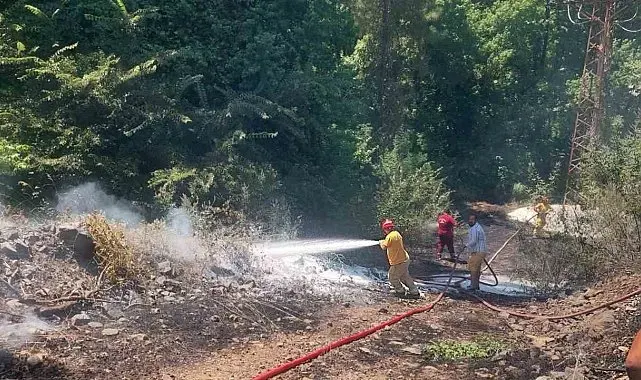 Marmaris'te çıkan yangın ormana sıçramadan söndürüldü