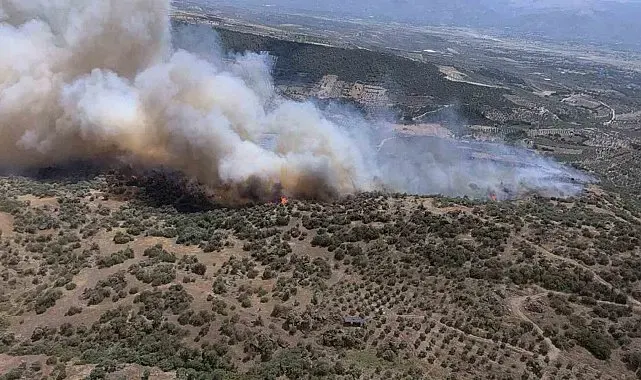 Bozdoğan'da ziraat alanında yangın çıktı