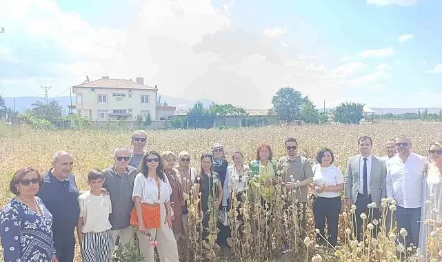 Kadın girişimciler Kuşadası'ndan Isparta'ya gidip haşhaş hasadı yaptı