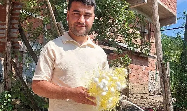 İpek böceği üreticisinden alternatif gelir çağrısı: 1 dönüm araziden 130 bin lira gelir
