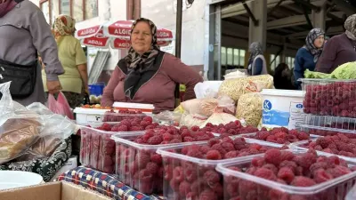 Bolu'da Köylüler Doğal Ürünlerini Aracısız Olarak Pazarda Satıyor