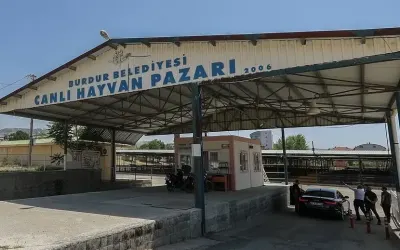 Burdur'da Şap Hastalığı Tedbiri: Canlı Hayvan Pazarı Geçici Olarak Kapatıldı