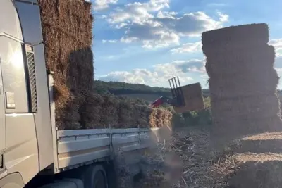 Tekirdağ Malkara'da Feci Kaza: Saman Balyalarının Altında Kalan 57 Yaşındaki Adam Yaşamını Yitirdi