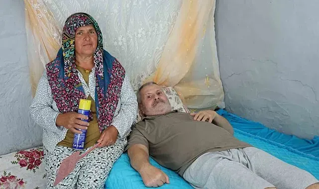 Felçli eşinin rahat etmesi için başında sinek nöbeti tutuyor