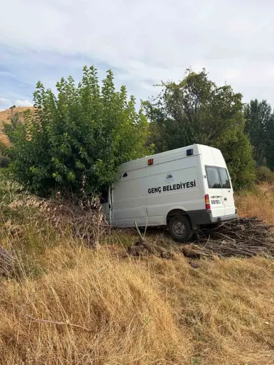 Bingöl'de Minibüs Ağaca Çarptı: 3 Kişi Yaralandı
