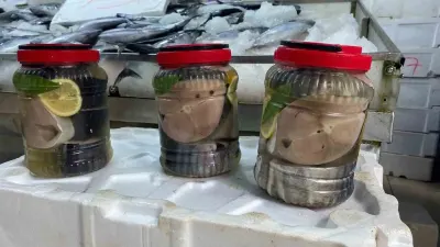 Sinoplu Balıkçılardan Geleneksel Lakerda Mesaisi: Kestane Karası Beklenmiyor