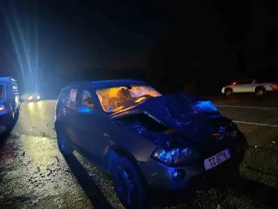 Bingöl'de Otomobil Ata Çarpıktı: 1 Yaralı