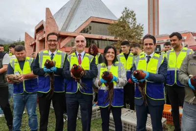 Ondokuz Mayıs Üniversitesinde İki Yüz Sülün Doğal Yaşamla Buluşturuldu