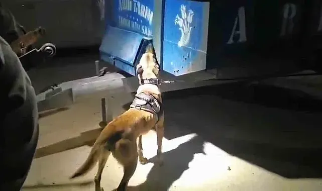 Traktörün kasasından uyuşturucu çıktı