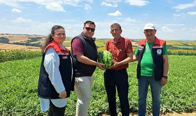 Tekirdağ'da ilk karpuz hasadı başladı