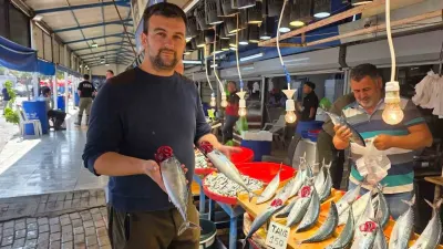 Bandırma Balık Hali'nde Sezonun Gözdesi Palamut Tezgâhlarda 150 Liradan Satılıyor