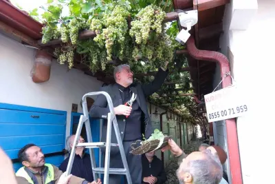 Çorum'un tarihi Eskiciler Sokak'ında üzüm hasadı yapıldı
