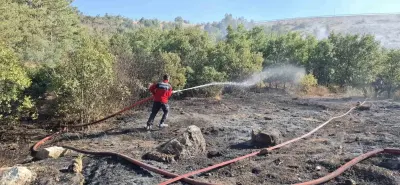 Kütahya Emet'te Orman Yangını: Ekiplerin Hızlı Müdahalesiyle Söndürüldü
