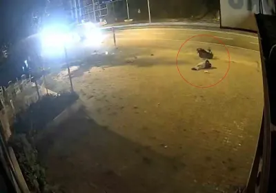 Trabzon'da Motosiklet Kazası: 17 Yaşındaki Sürücü Yaralandı