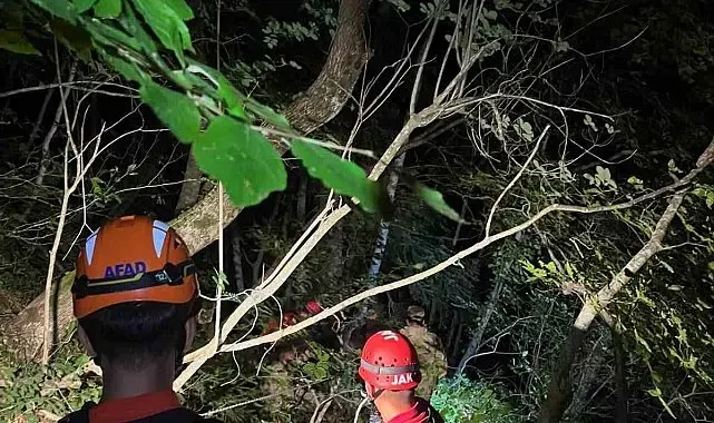 Kastamonu'da uçuruma yuvarlanan şahıs ekipler tarafından kurtarıldı