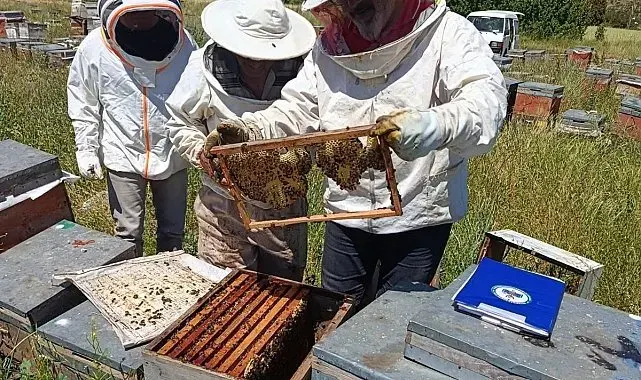 Tavşanlı'da gezginci arıcılık işletmeleri ziyaret edildi