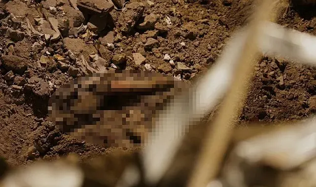 Rusya'nın Ukrayna saldırılarında can kaybı 29'a yükseldi