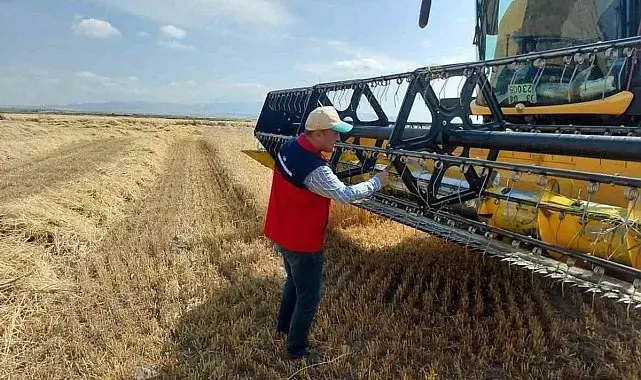 Afyonkarahisar'da hububat hasadı sürüyor